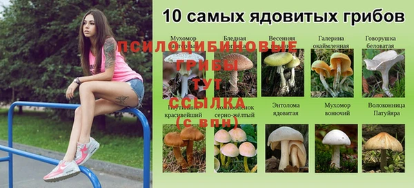 ГАЛЛЮЦИНОГЕННЫЕ ГРИБЫ Покровск