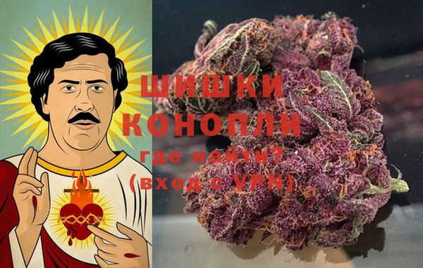 индика Армянск
