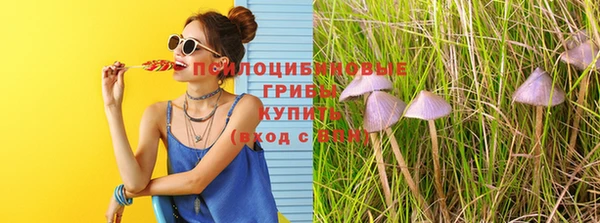 меф Арсеньев