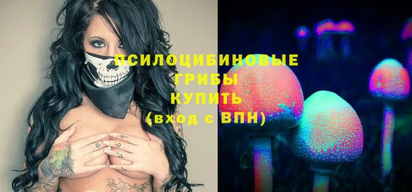 меф Арсеньев