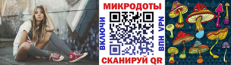 Псилоцибиновые грибы Psilocybe блэк спрут ссылка Бавлы